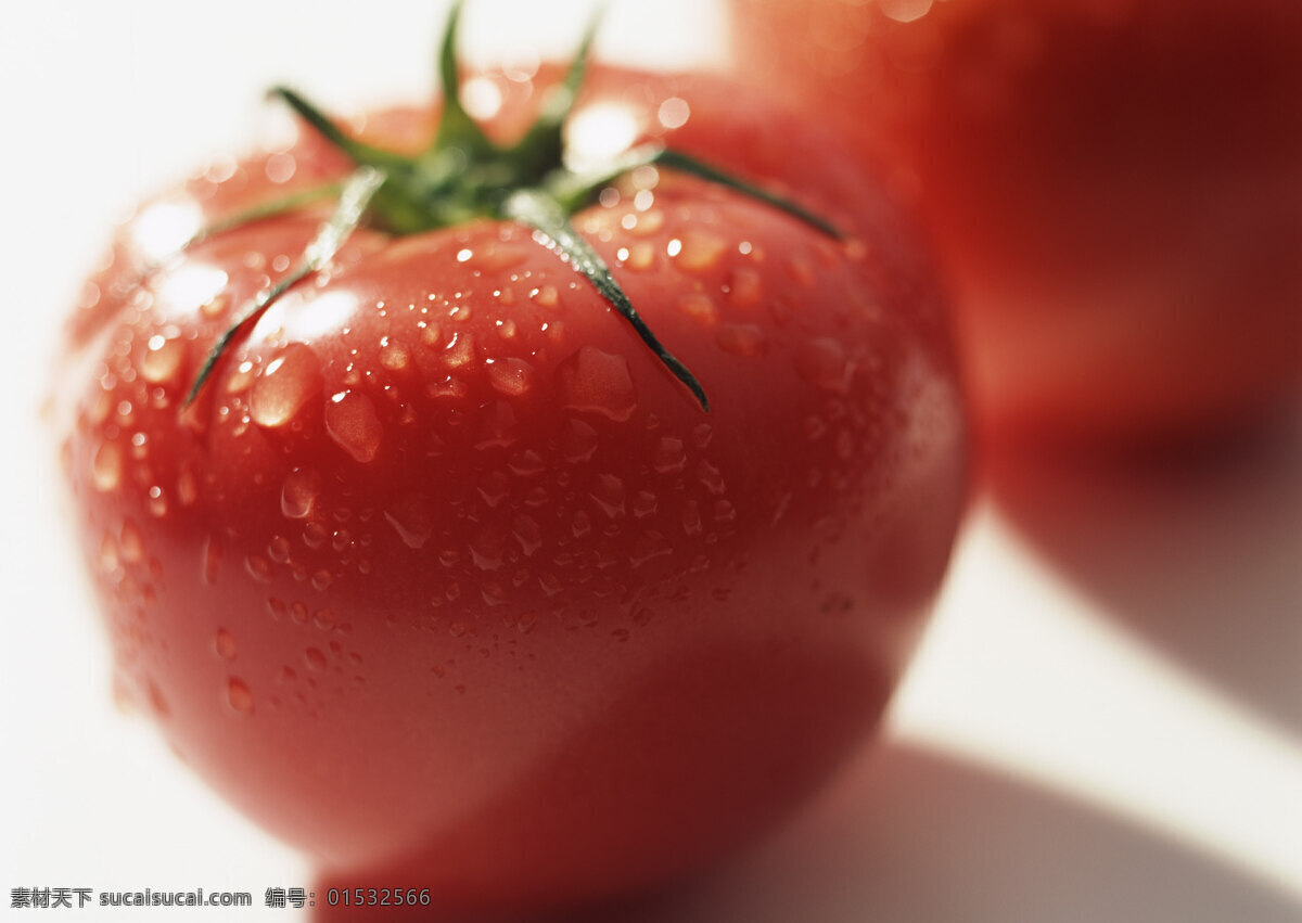 新鲜 蕃茄 新鲜蔬菜 西红柿 农作物 绿色食品 摄影图 高清图片 蔬菜图片 餐饮美食
