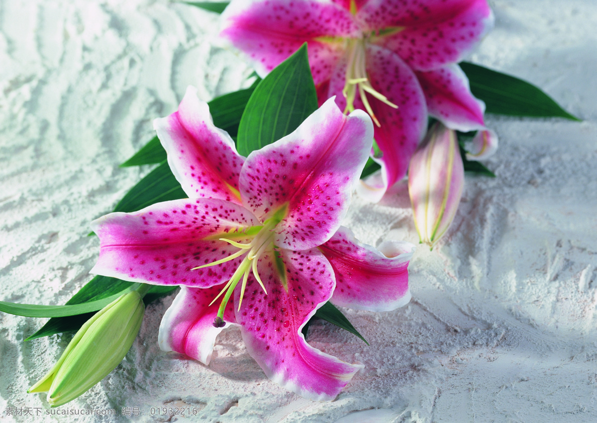 花艺 摆设 花 花卉 鲜花 花艺摆设