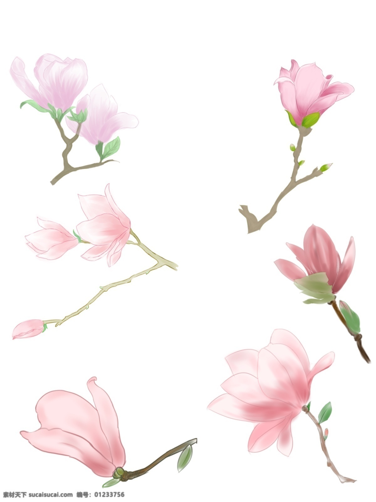 兰花 手绘 元素 图案 花卉 鲜花