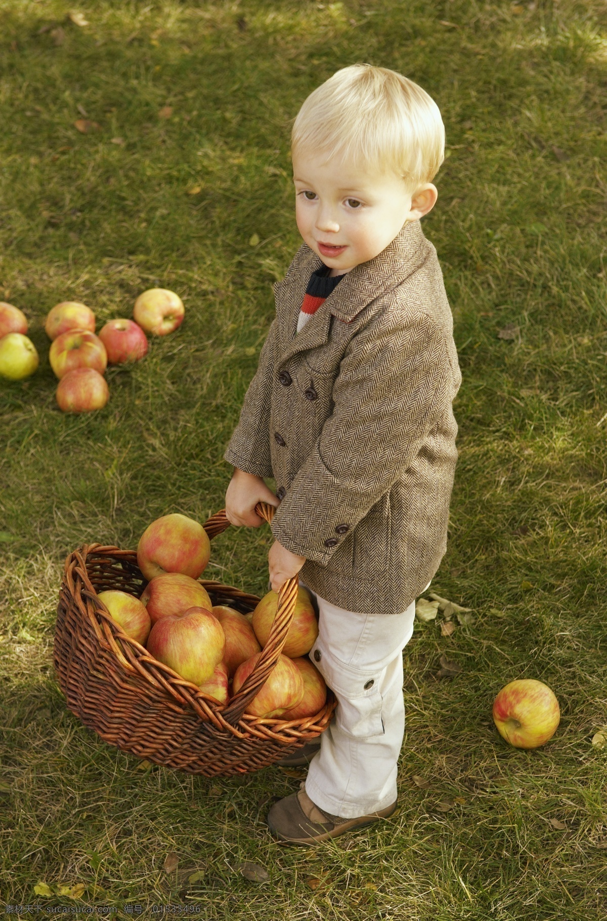 苹果 儿童摄影 苹果摄影 水果 篮子 儿童 小孩 草地 田野 野外 郊区 人物 人物摄影 人物素材 职业人物 生活人物 人物图片