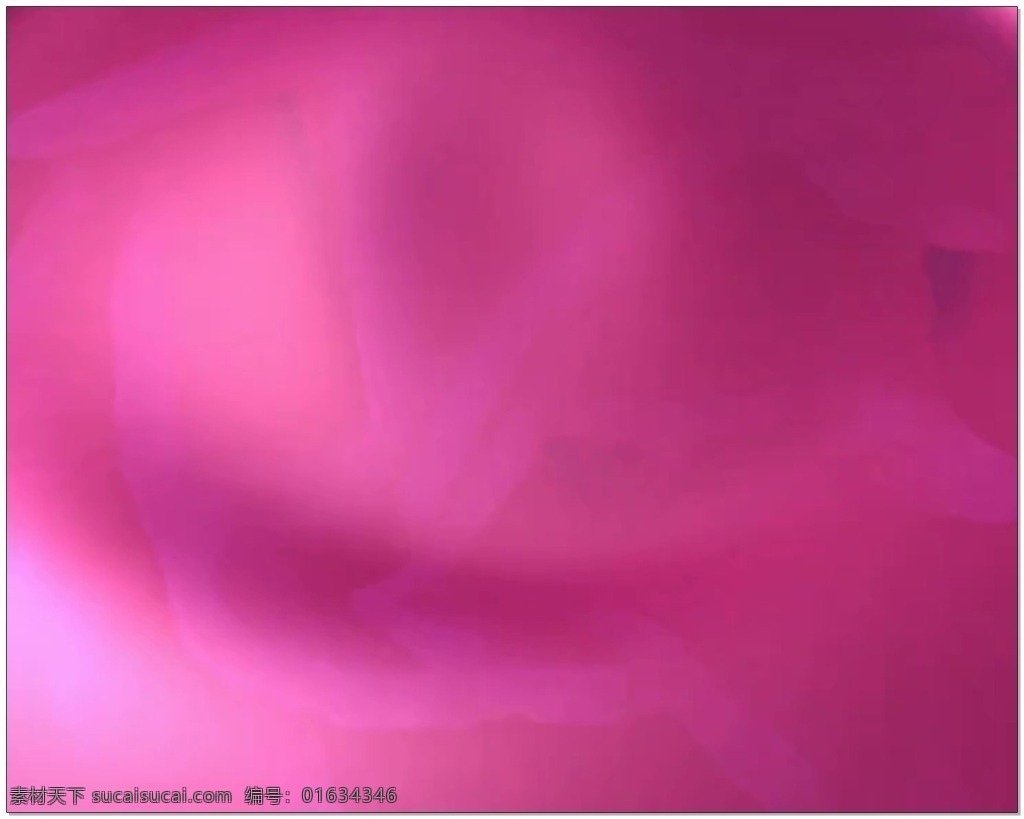 玫 红色 婚礼 片头 视频 背景 玫红色 纯色 浪漫 视频素材 动态视频素材