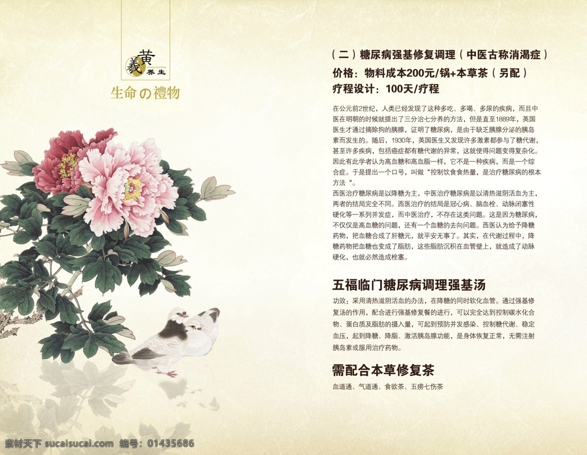 养生 糖尿病 菊花 中国风 古风 白色
