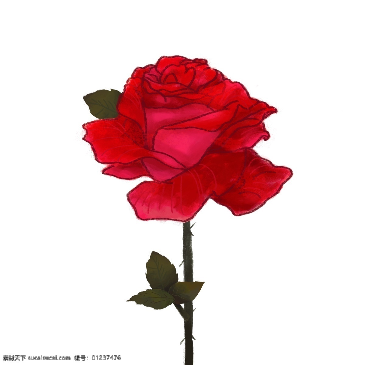 手绘 红色 玫瑰花 元素 玫瑰 红玫瑰 手绘风玫瑰 玫瑰元素