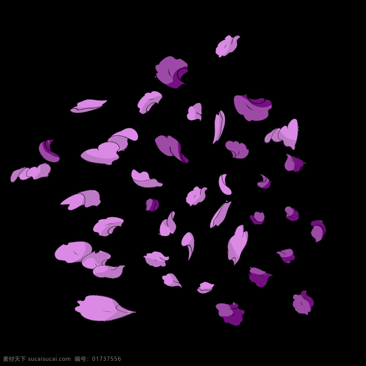 紫色 花瓣 手绘 插画 紫色的花瓣 漂亮的花瓣 漂浮花瓣 花瓣装饰 花瓣插画 可爱的花瓣 鲜花花瓣