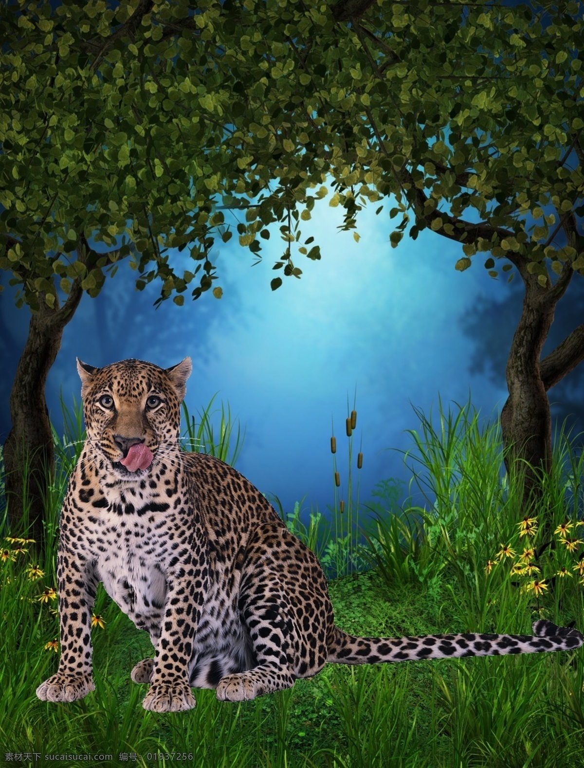 豹子森林 豹子 南非 自然 捕食 动物 狮子 金钱豹 森林 森林背景 树林 树木 绿色风景 绿色背景 绿色环保