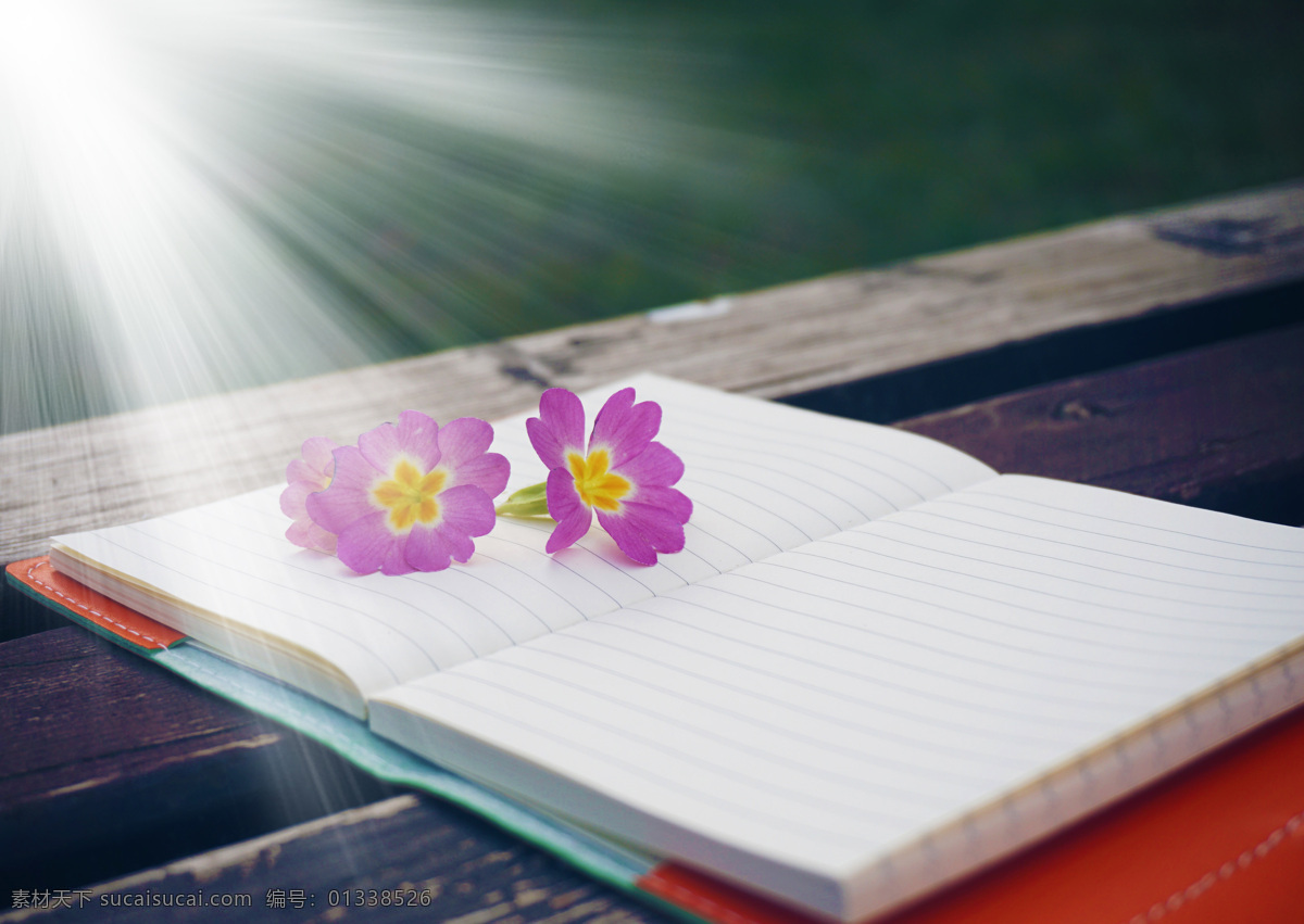 文具 小花 壁纸 笔记本素材 笔记本背景 花朵 花