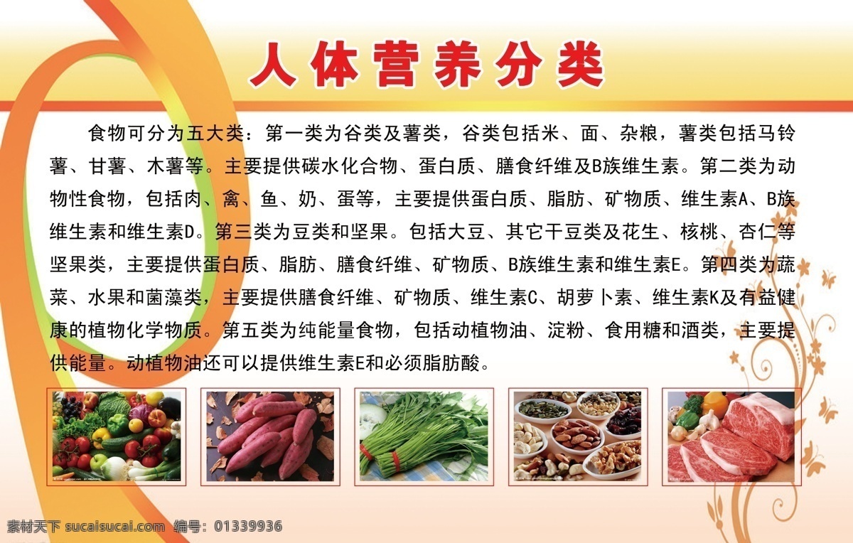 从我做起 底纹 广告设计模板 花纹 节约 粮食 源文件 人体 营养 展板 模板下载 人体营养展板 展板模板 公益展板设计
