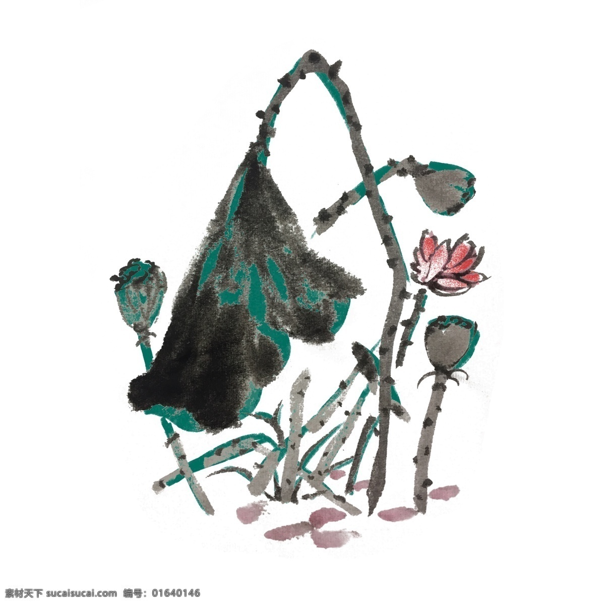 水墨 风 荷花 手绘 插画 夏季 夏天 荷叶 出水芙蓉 芙蓉 中国风 古风 水墨风 墨迹 彩色 春天 生动 花草 国风