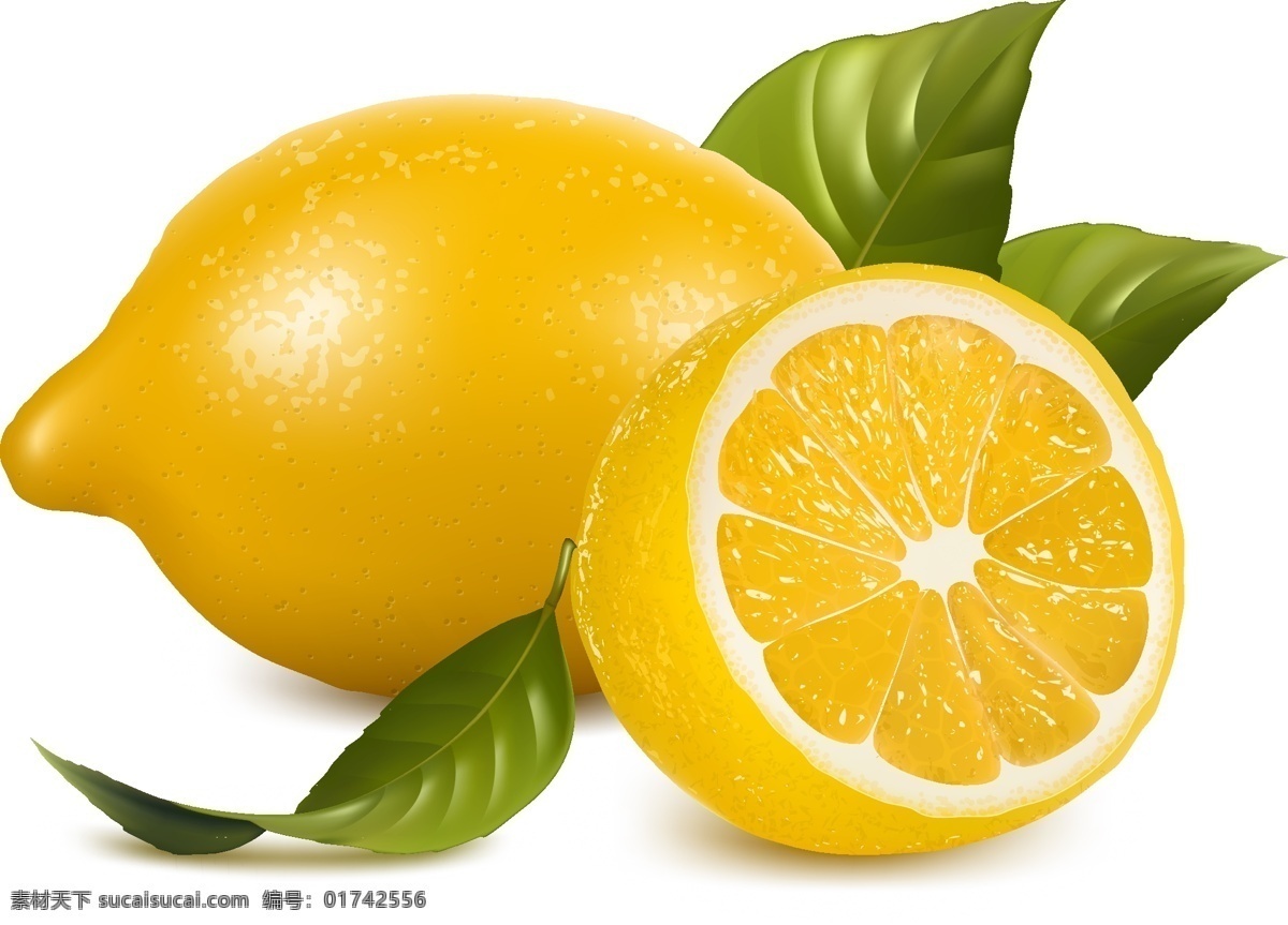 手绘 柠檬 橙子 生物世界 水果 矢量 模板下载 手绘柠檬 矢量图 日常生活