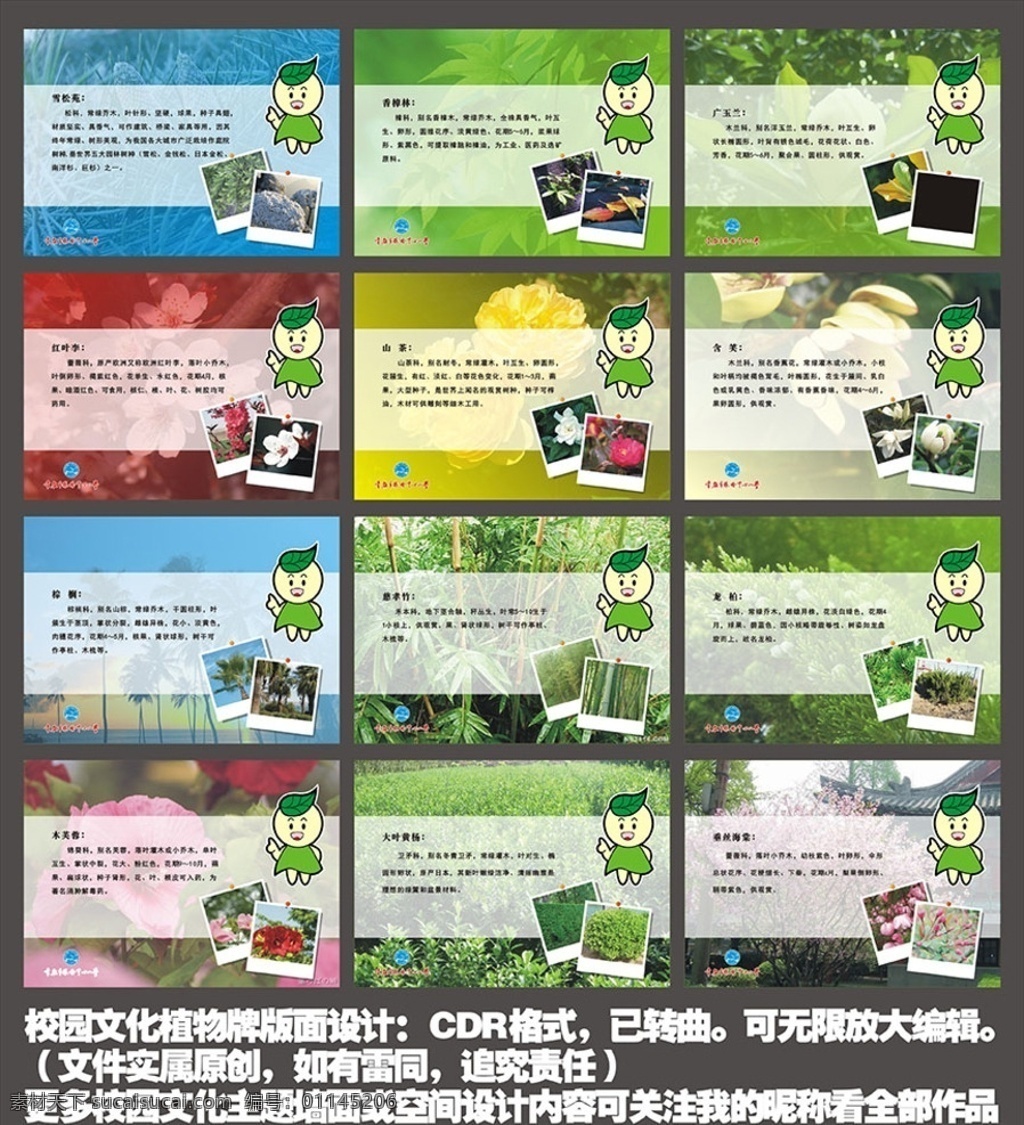 校园文化 植物 牌 版面设计 学校特色 幼儿园 小学中学 校园规划设 植物牌 追寻聆听收获 传统风格 现代时尚展示 年级班级 地方特色 美景如画 风土人情 活动掠影作品 名人名言 传统文化 艺术作品 节日布置 课外活动 墙面走廊设计 景观走廊 墙面布置设计 可爱卡通动漫 鲜艳视觉
