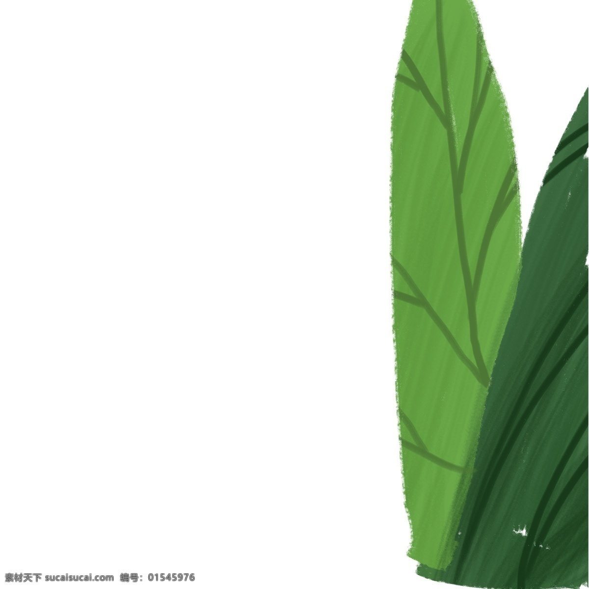 绿色 植物 免 抠 图 时尚绿叶 叶子 绿色植物 绿色生态 枝叶 植被 时尚 生态环境 绿色的叶子 免抠图