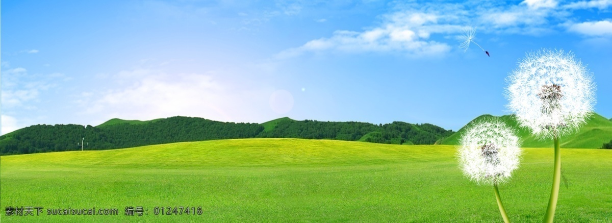 清新 蒲公英 草坪 banner 草地 绿色 背景 空旷 风景 环保 环境 简约