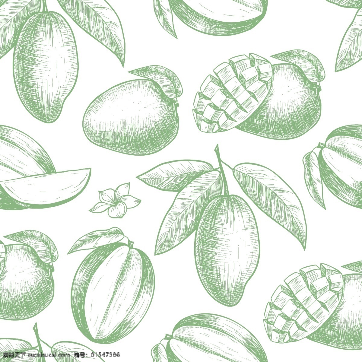 芒果 图案 热带芒果 绿色 水果 芒果切开 植物 手绘 高清 边框其他 分层