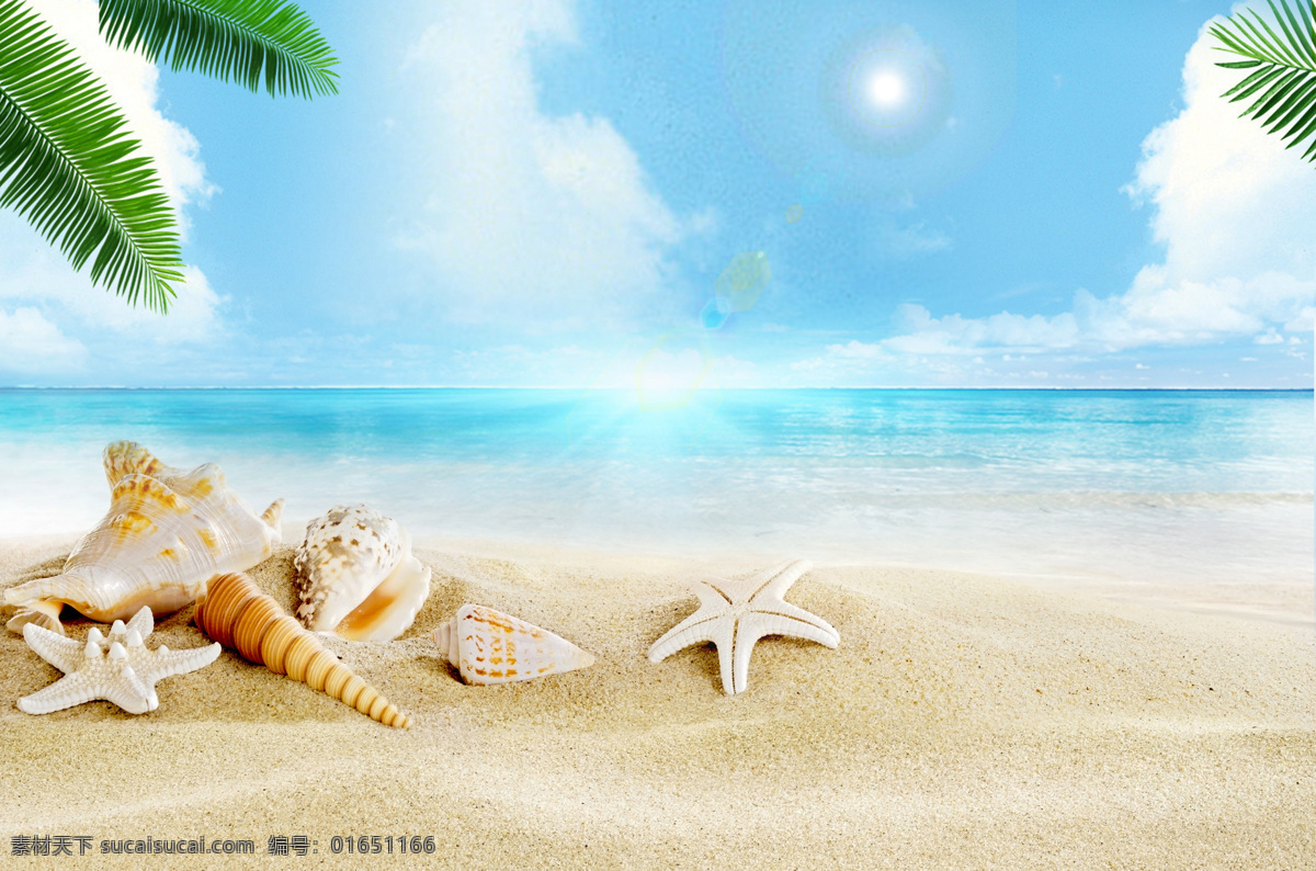夏日沙滩背景 夏季背景 夏日 夏日背景 沙滩 海星 背景 背景素材 贝壳 阳光 夏日专辑
