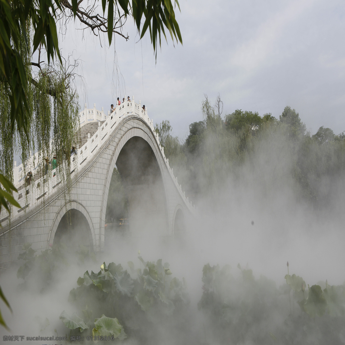 仙景 桥 雾 垂柳 美景 自然景观 自然风景