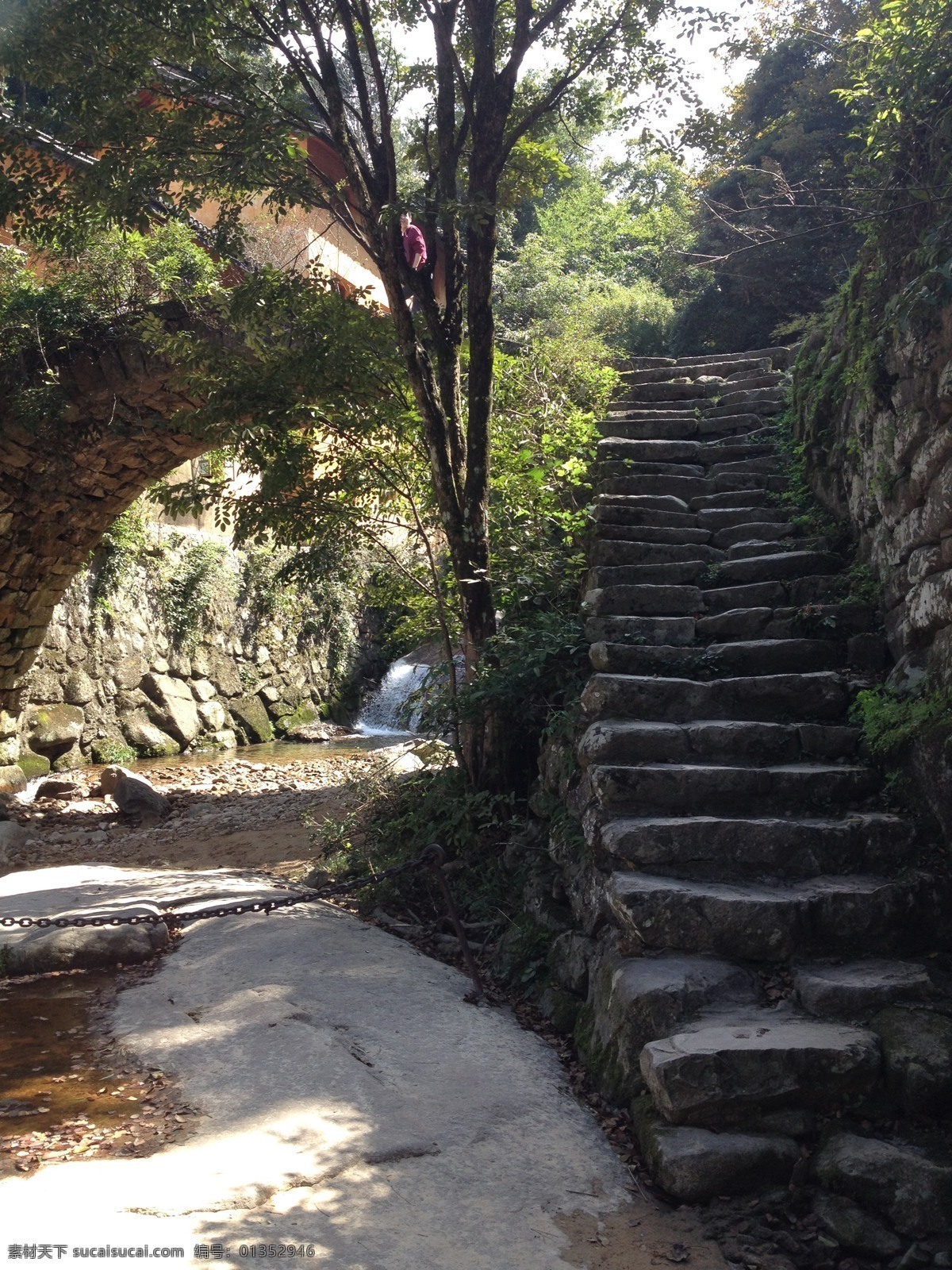 小路 竹林 石阶 蜿蜒 自然 放松 自然景观 自然风景