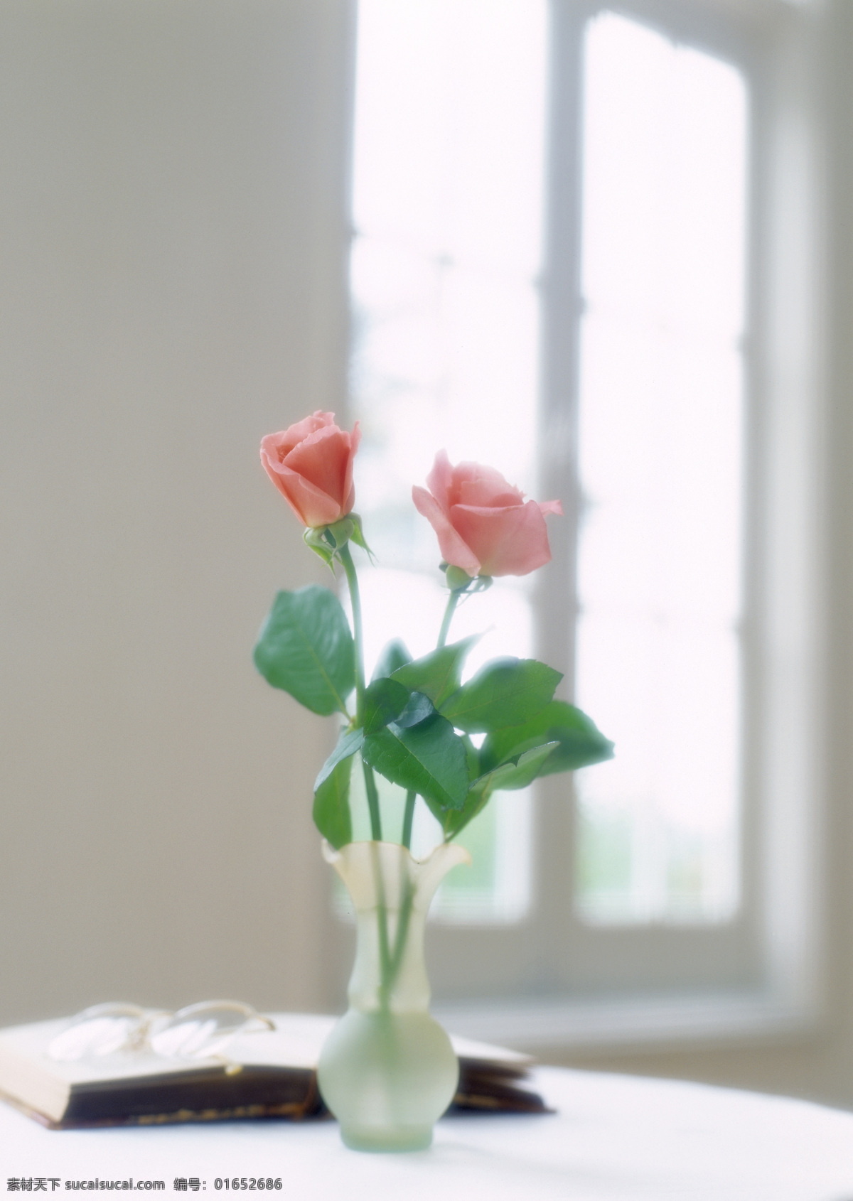 桌子上的花瓶 室内摄影 静物摄影 摄影素材 淡雅 生活百科 静物 家居生活 家居 植物 花瓶 室内设计 环境家居 白色