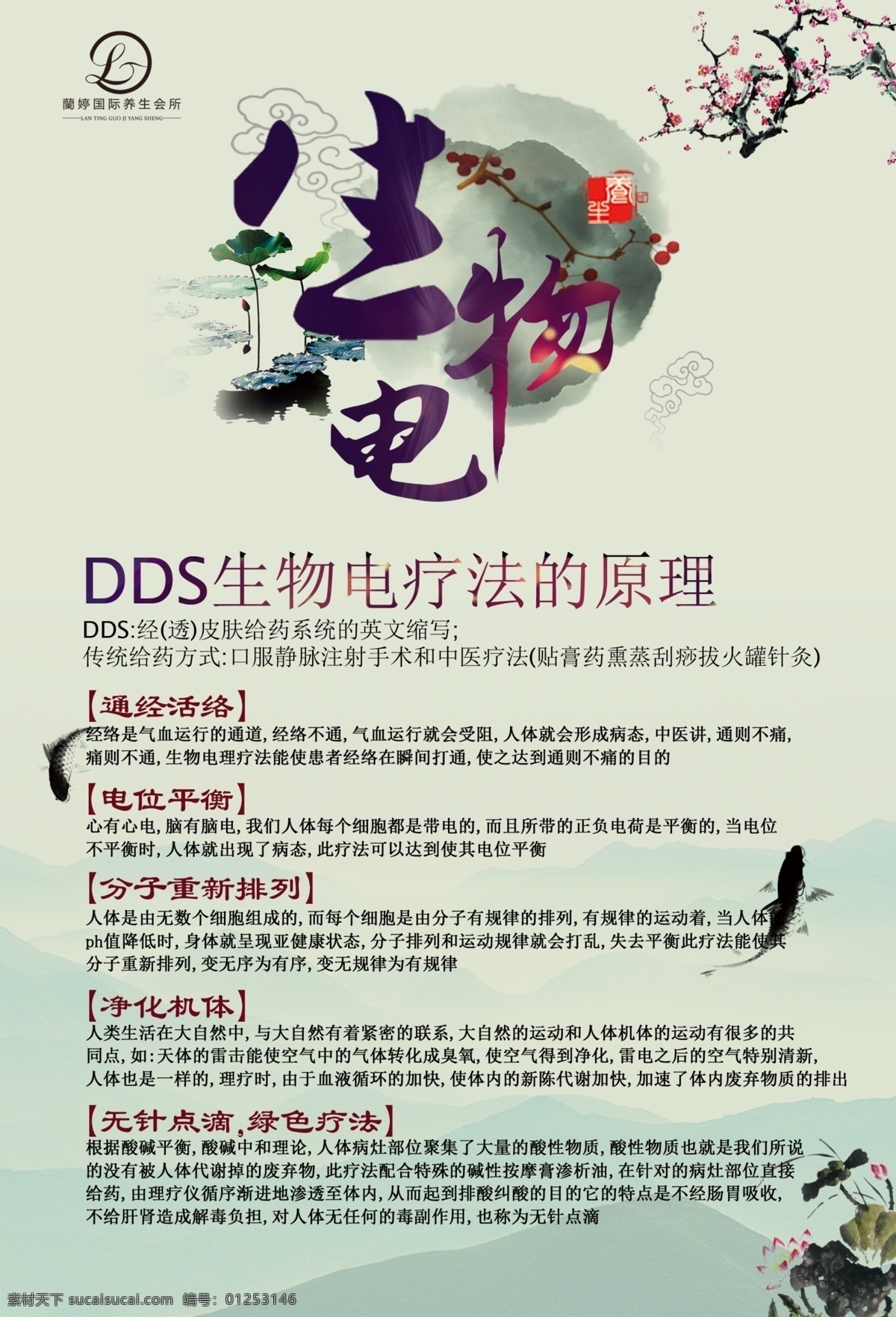 dds 生物电 疗法 原理 dds养生 疗法原理