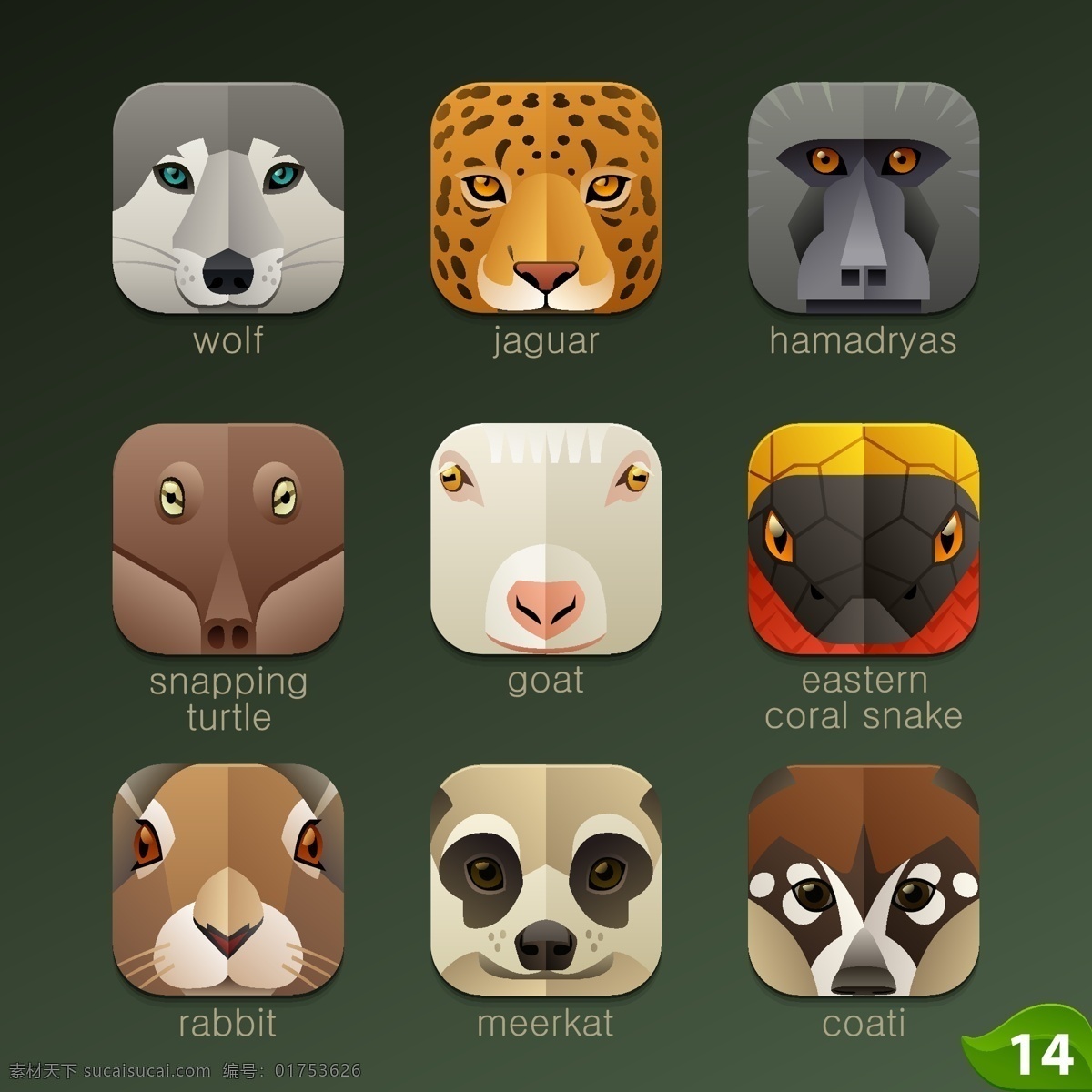 动物 头像 图标 矢量图 豹子 狼 山羊 手绘 兔子 啮龟 狒狒 猫鼬 长鼻浣熊 手机 app app图标