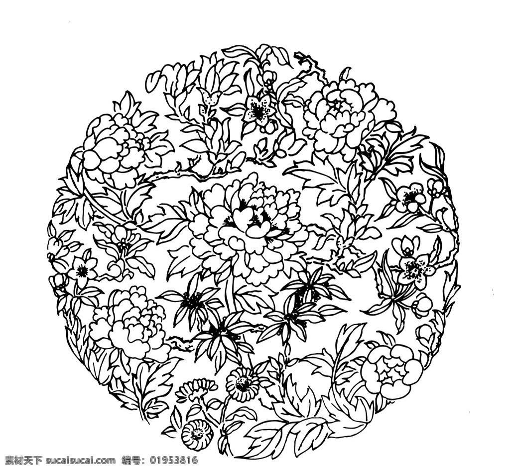 花开富贵 牡丹花 百花齐放 百花来朝 园形牡丹花 生物世界 花草