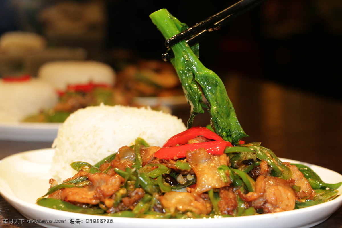 辣椒炒肉饭 炒肉饭 辣椒炒肉 美食 中餐 快餐 餐饮美食 传统美食