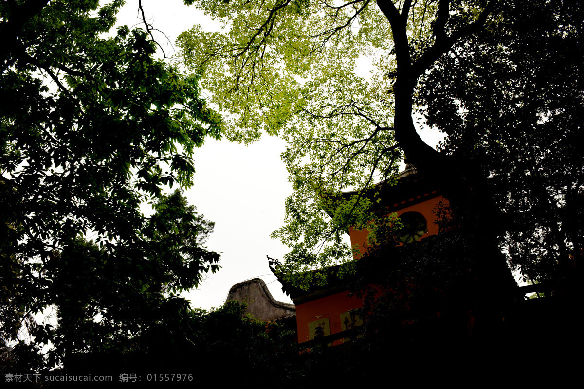 鼋头渚风景 春季 树林 踏青 绿色 风光 旅游摄影 自然风景
