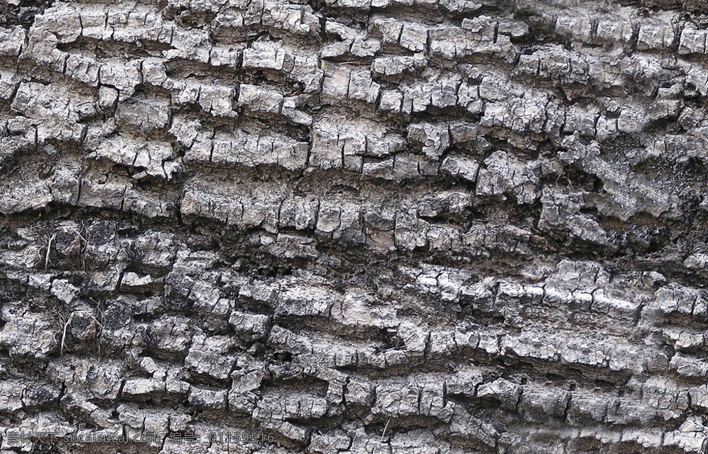 3d材质 古木树皮 3d 树皮 高质量 材质 贴图 更新 灰色
