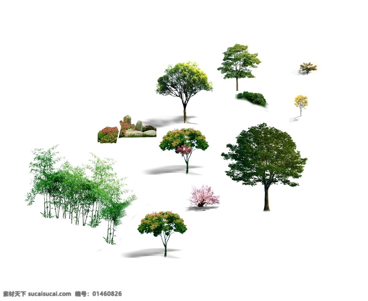 汇总 后期树木集合 psd格式 分层 高分辨率 ps效果图 后期 自然景观 建筑园林