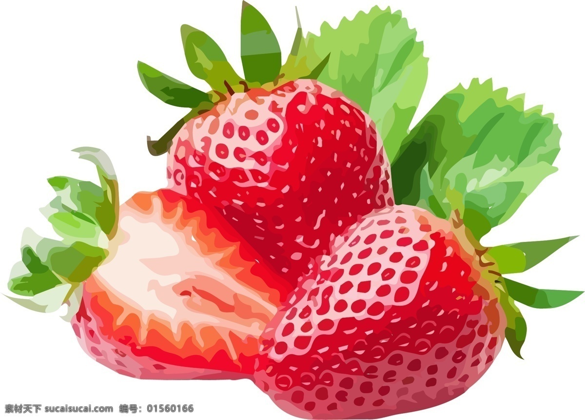 插画 手绘 红色 草莓 水果 元素 红色草莓 水果素材 水果元素