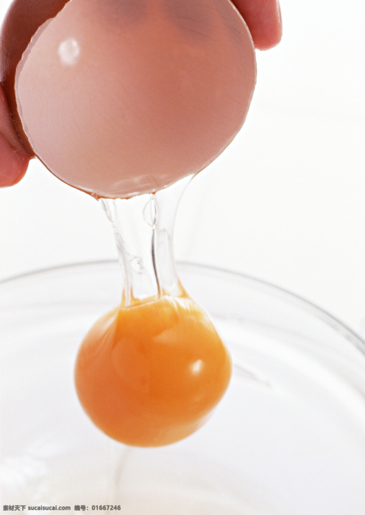 蛋壳 生的 破碎 蛋黄 有机 白色 新鲜 鸡蛋 鸭蛋 营养 蛋清 高清 餐饮美食 食物原料 传统美食