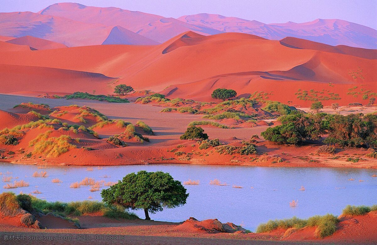沙漠风光 沙漠 荒漠 荒凉 沙荒 撒哈拉沙漠 沙漠迷景 自然风光 绿洲 沙漠中的绿洲 自然景观 自然风景
