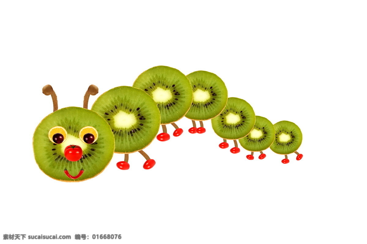 奇异果 水果 弥猴桃片 弥猴桃干 奇异果片 奇异果干 生物世界