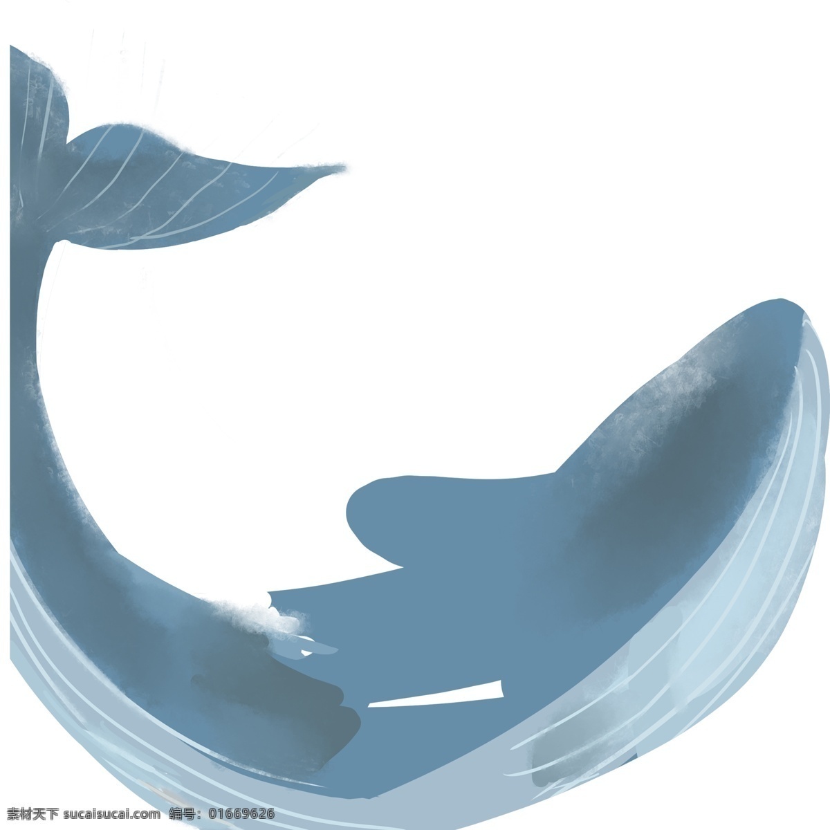 灰色 圆弧 创意 鲸鱼 元素 尾巴 卡通插画 海洋生物 动物