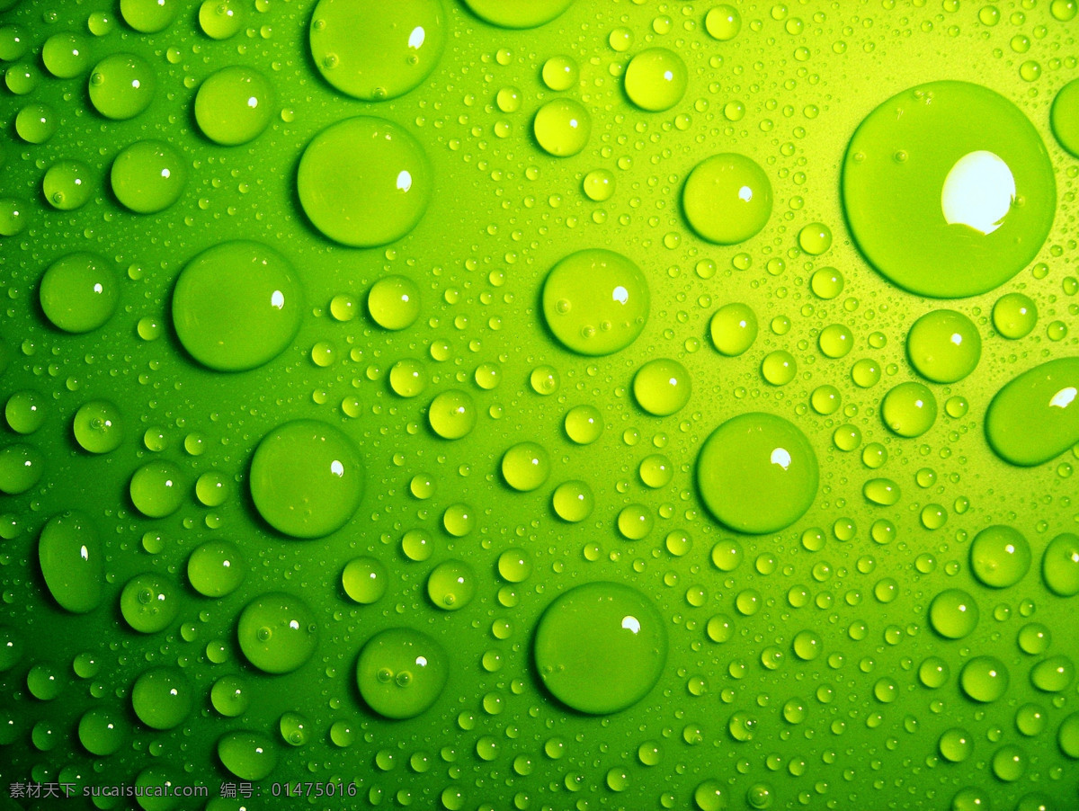 绿色水珠背景 绿色水珠 生物世界 设计图库 底纹边框 背景底纹