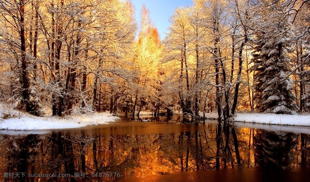 森林公园 冬天 冬季 雪景 白雪 森林 生态公园 湖 湖水 大树 树林 自然 生态 冬天雪景 自然风景 自然景观
