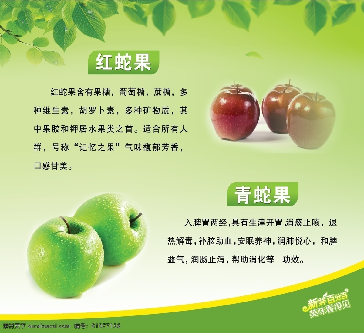 水果简介 绿叶 绿色背景 绿色线条 红蛇果 青蛇果 展板模板 广告设计模板 源文件