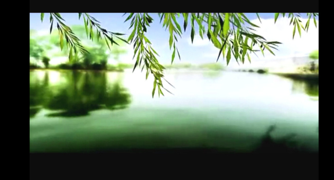 公园 湖水 垂柳 视频 mov 多媒体设计 视频素材 舞台 背景 源文件 垂柳视频素材 湖水视频 公园视频素材 柳树视频素材 晚会视频素材 其他视频
