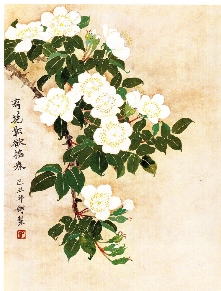 梨花 白色梨花 梨花国画 梨花盛开 水彩梨花 梨树 工笔梨花 国画花鸟 花卉国画 国画集 绘画书法 文化艺术