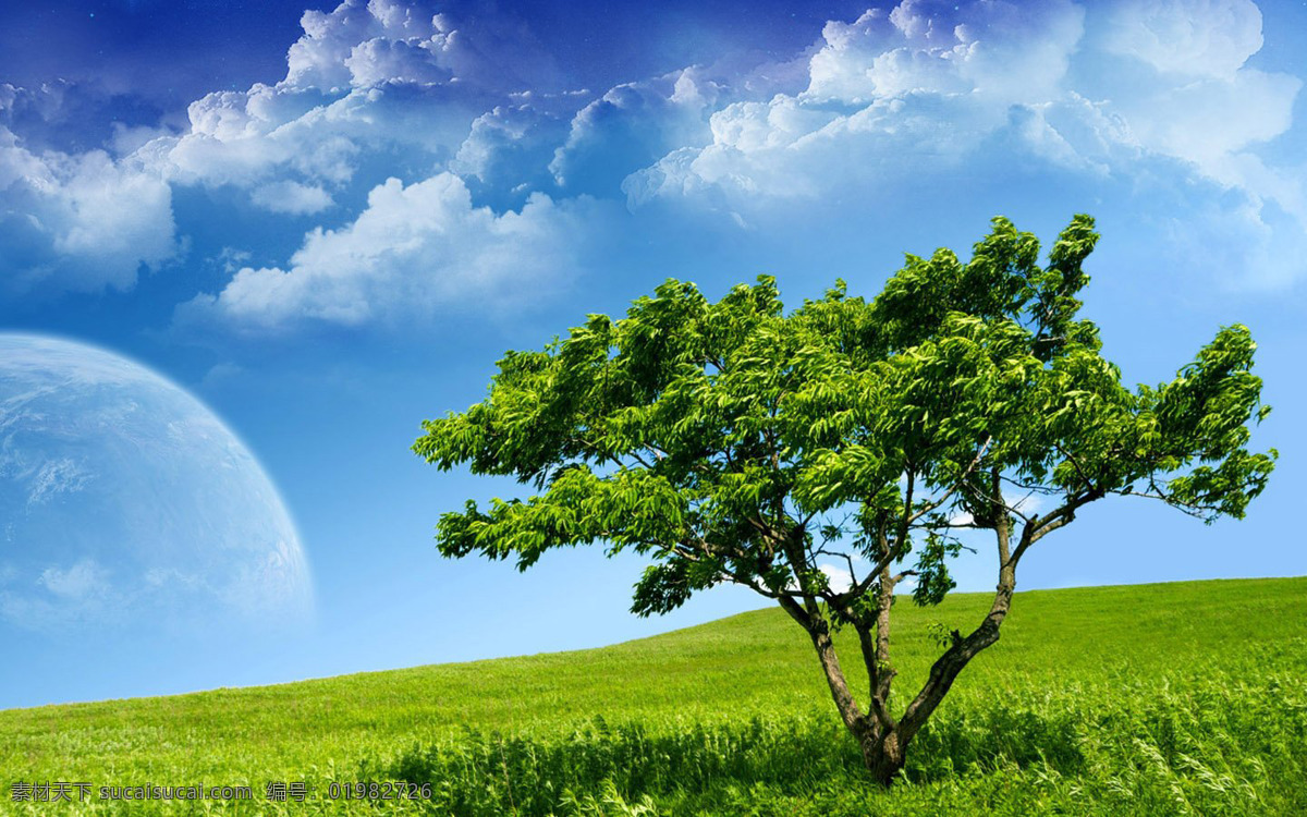 美丽 草原 绿树 蓝天 白云 厚厚的云层 旺盛的绿草 茂密的绿草 自然景观 自然风光