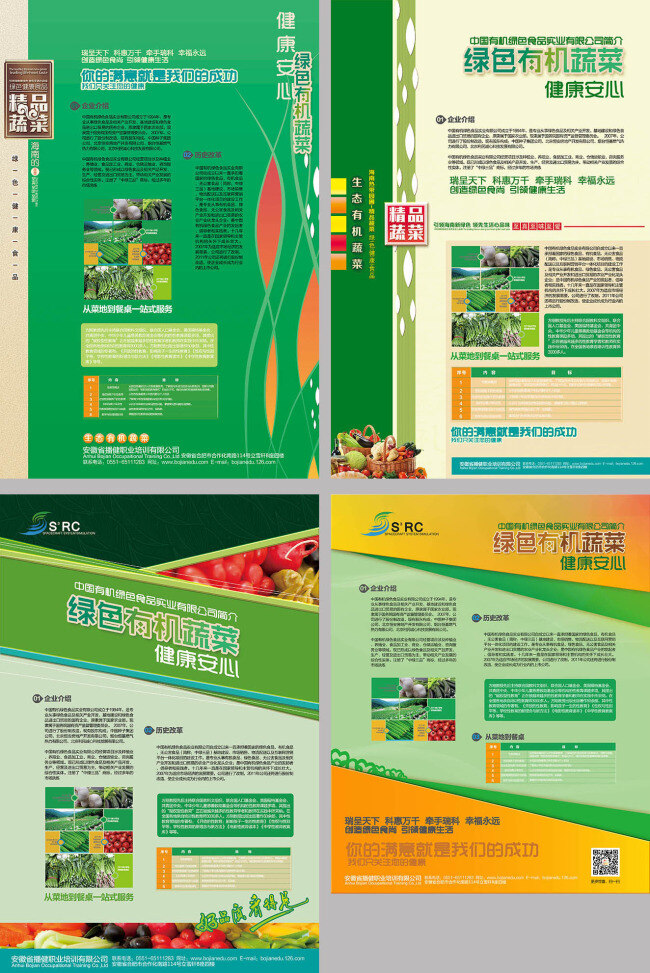 有机 蔬菜 产品 画册 宣传册 有机蔬菜 产品画册 产品宣传册 宣传册模板 农业 绿色