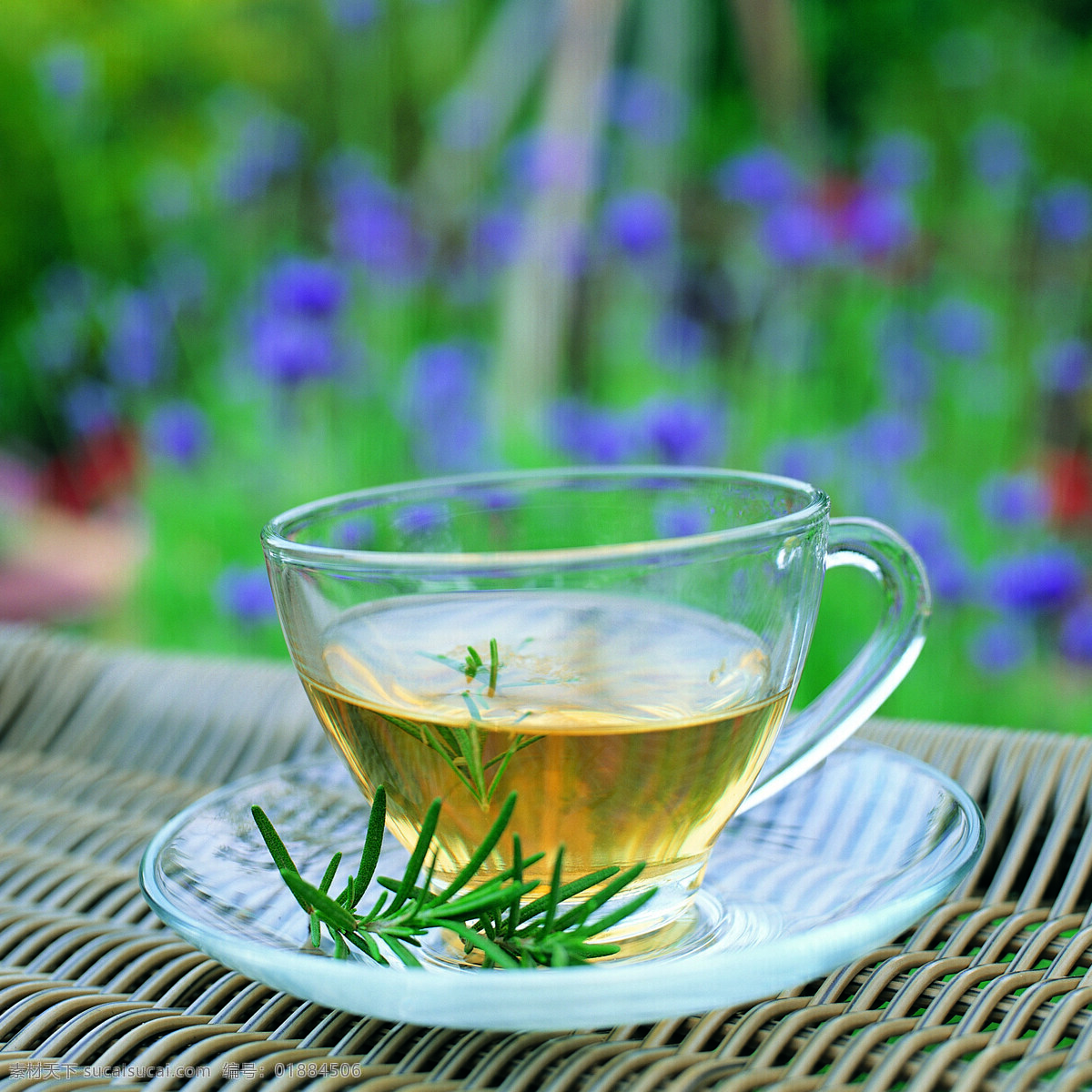 全球 首席 大百科 玻璃杯 茶杯 茶叶 茶饮 喝茶 花草 花茶 健康 品茶 清茶 生物世界