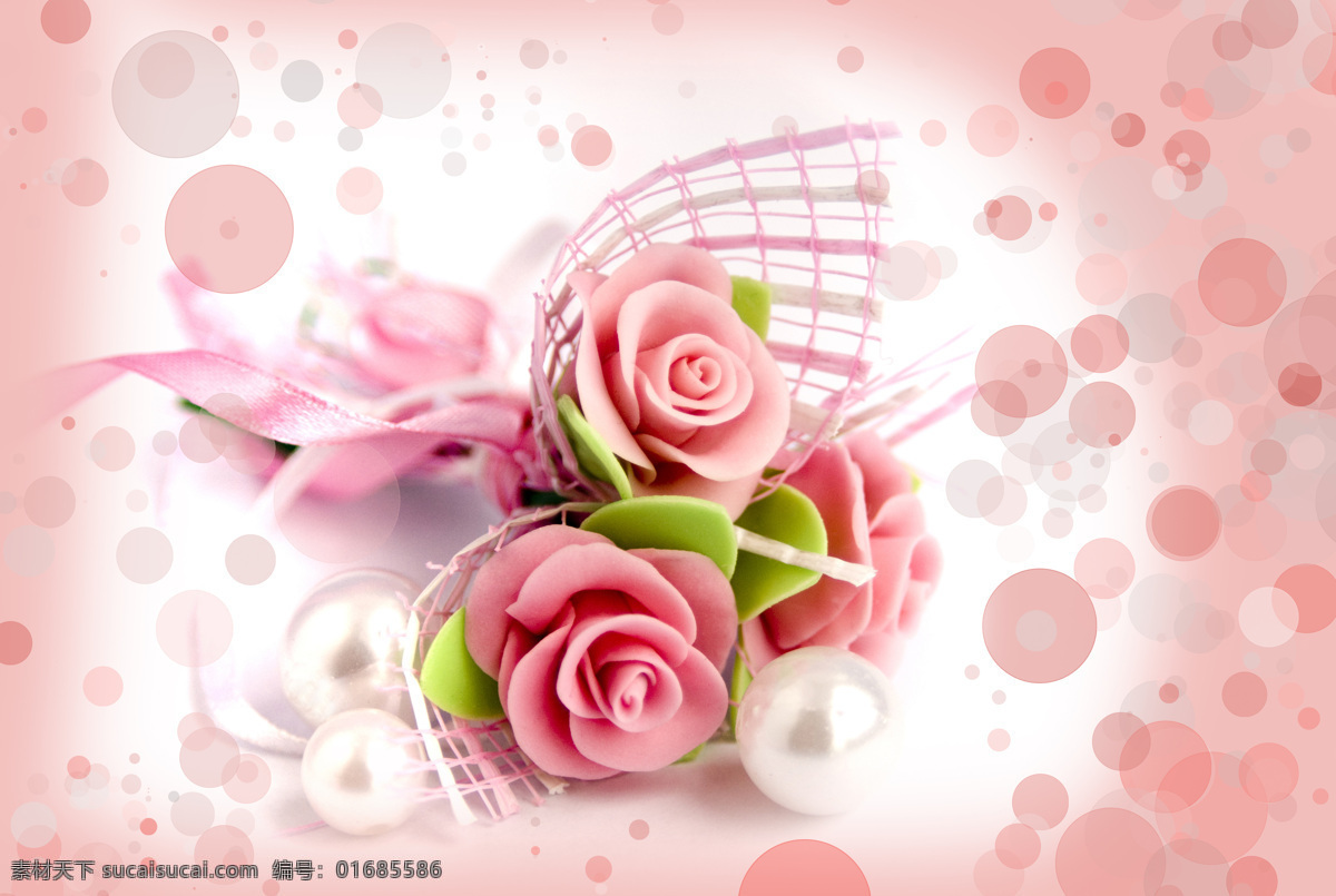 粉色花朵 玫瑰花 香槟玫瑰 粉色 鲜花 唯美花朵