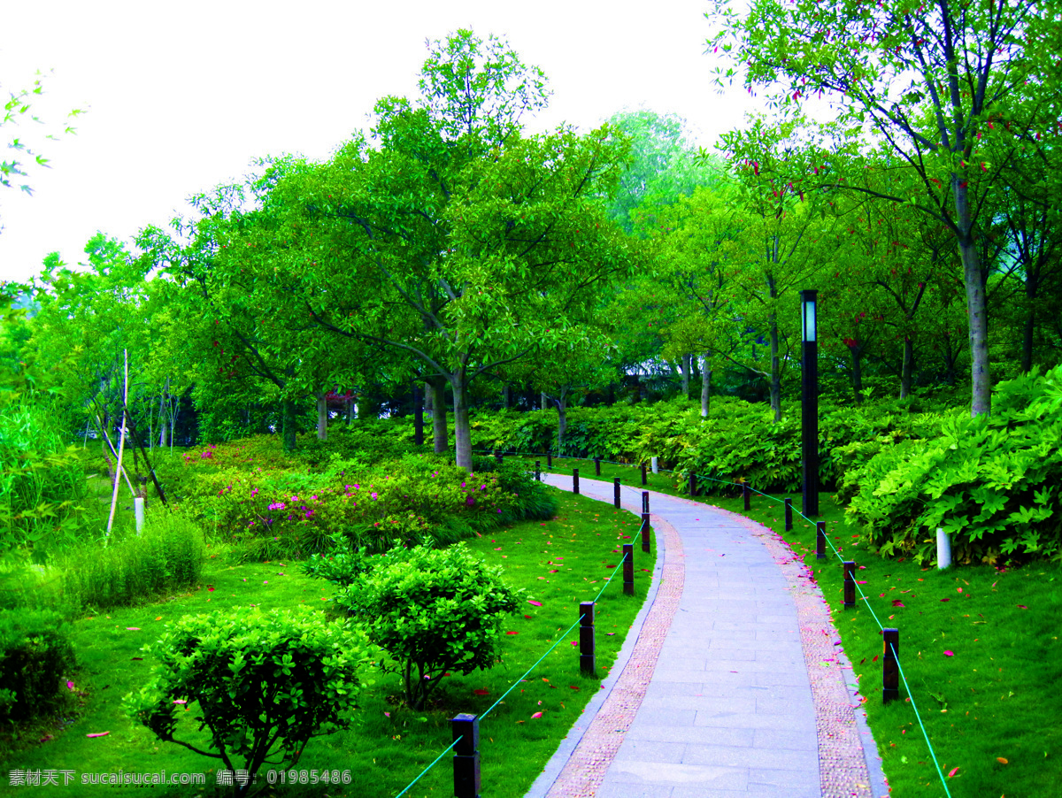 2009 公园 绿化 金奖 长桥 溪 公园绿化景观 公园景观 杭州公园绿化 2009金奖 景观 杭州 长桥溪公园 园路 植物配景 园林绿化 河道 园林建筑 建筑园林