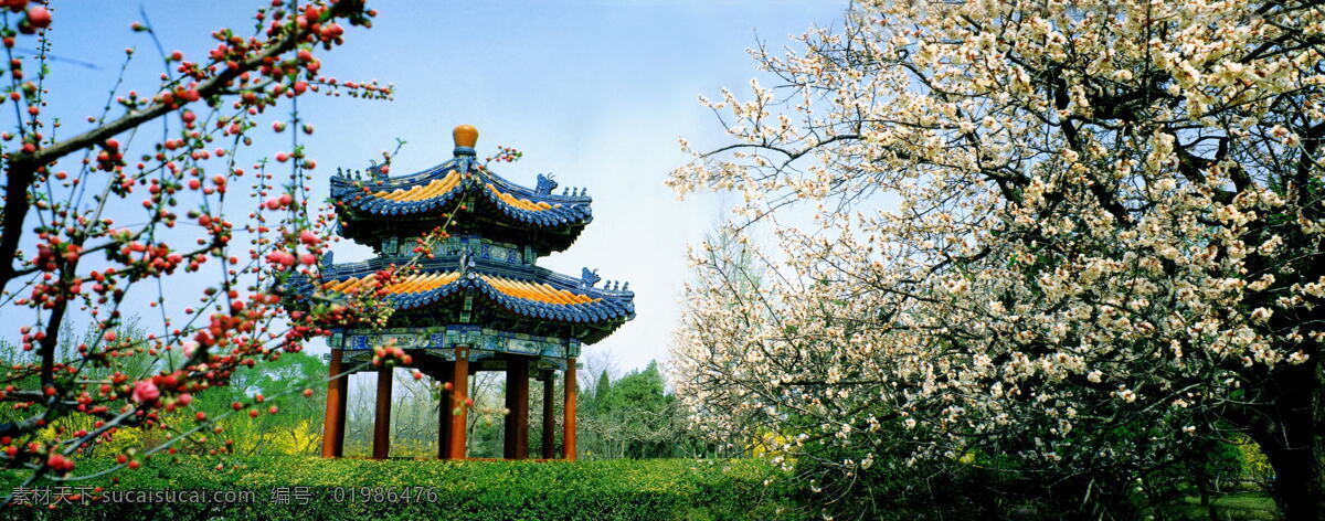 桃花源记 草地 春色 凉亭 清新 桃花 植物 自然风景 风景 生活 旅游餐饮