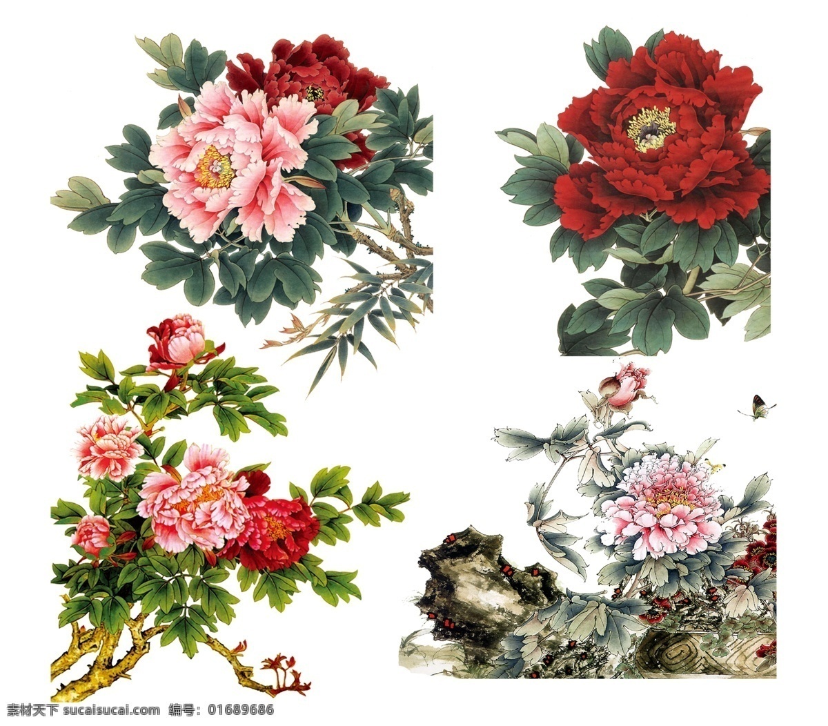牡丹花 牡丹花素材 牡丹花元素 牡丹花背景 牡丹花底纹 牡丹花海报 牡丹花封面 logo 牡丹花标志 牡丹花分层 牡丹素材 牡丹元素 牡丹背景 牡丹底纹 牡丹海报 牡丹封面 牡丹logo 牡丹标志 牡丹分层 牡丹工笔画 牡丹花工笔画 国画 牡丹油画 牡丹花油画 牡丹花摄影 牡丹摄影
