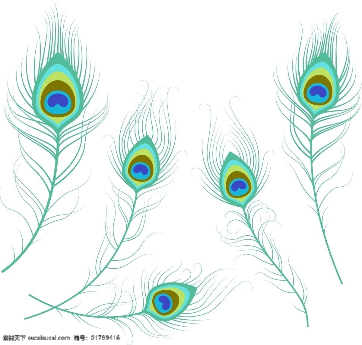 卡通孔雀 孔雀羽毛 手绘孔雀 孔雀翎 矢量图素材 ai素材
