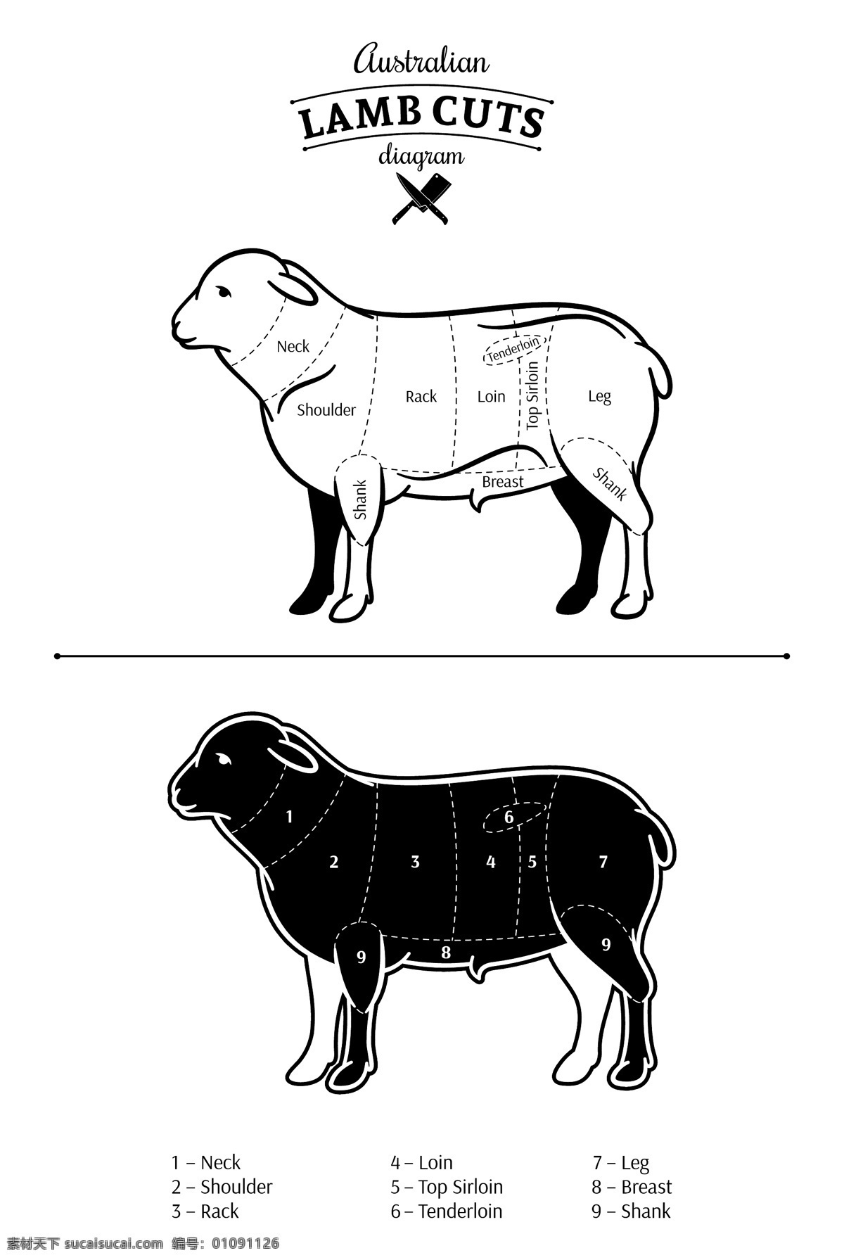 卡通 家禽 绵羊 插画 动物 手绘 黑白 羊肉