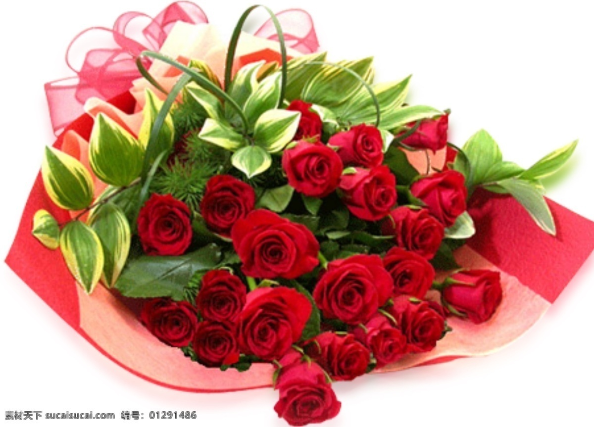 情人节 玫瑰 花束 模板 玫瑰花 热情 火热 红色丝带 绚烂 红色 真实的 一束玫瑰花