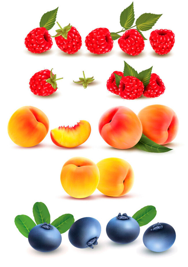 蓝莓 桃子 树莓 模板下载 新鲜水果 健康水果 果蔬 水果蔬菜 蔬菜水果 生物世界 矢量素材