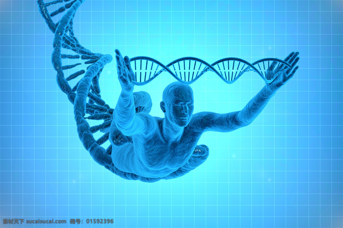 人体 模型 dna 结构图 蓝色背景 人体模型 双螺旋结构 其他生物 生物世界 青色 天蓝色